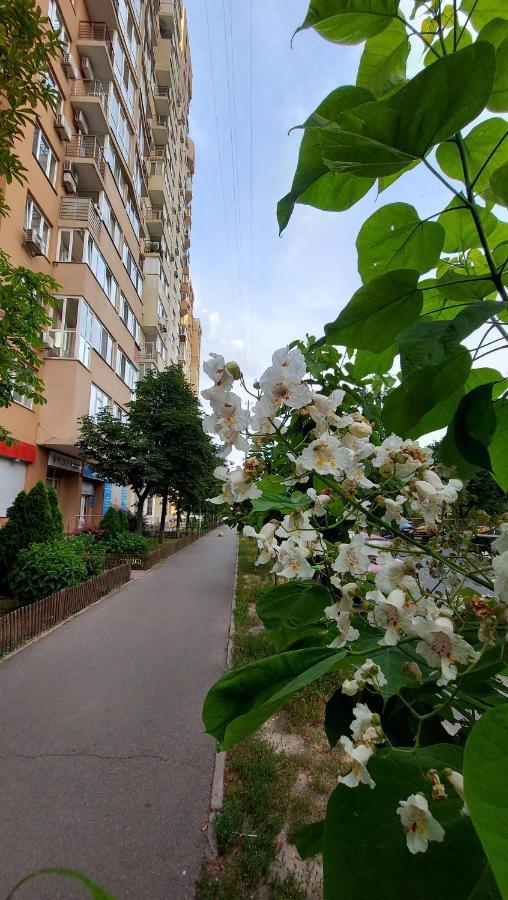 Просторі Апартаменти Kyjev Exteriér fotografie